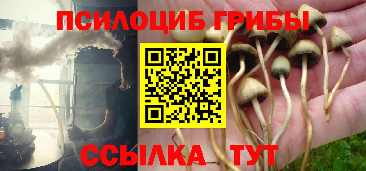 Псилоцибиновые грибы MAGIC MUSHROOMS  Вход с VPN  Волгоград 